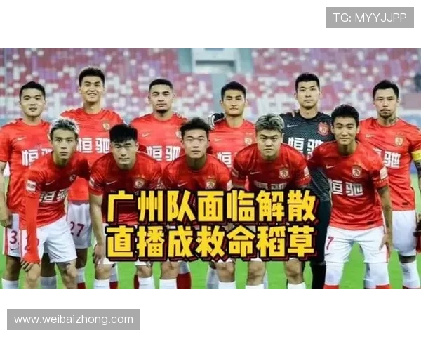 中国足球明星为何难以赢得球迷喜爱深度解析与反思