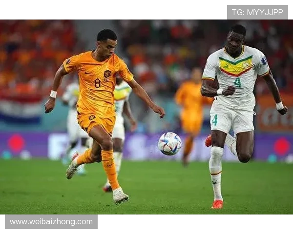 武汉网球队在世界杯积分榜中以77分稳居第一名展现强劲实力